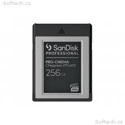 SanDisk Professional - Paměťová karta flash - 256 