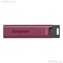 Kingston DataTraveler Max - Jednotka USB flash - 2