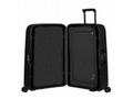 Samsonite Magnum Eco SPINNER 81 Graphite